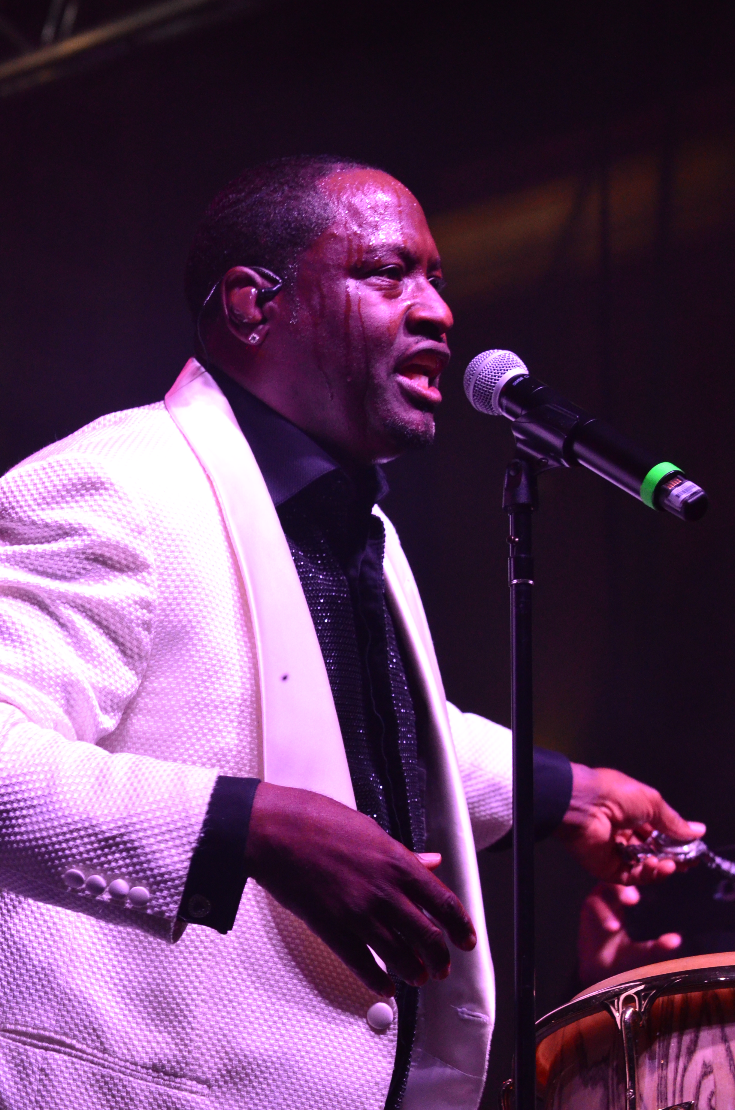 Johnny Gill Automotive Rhythms