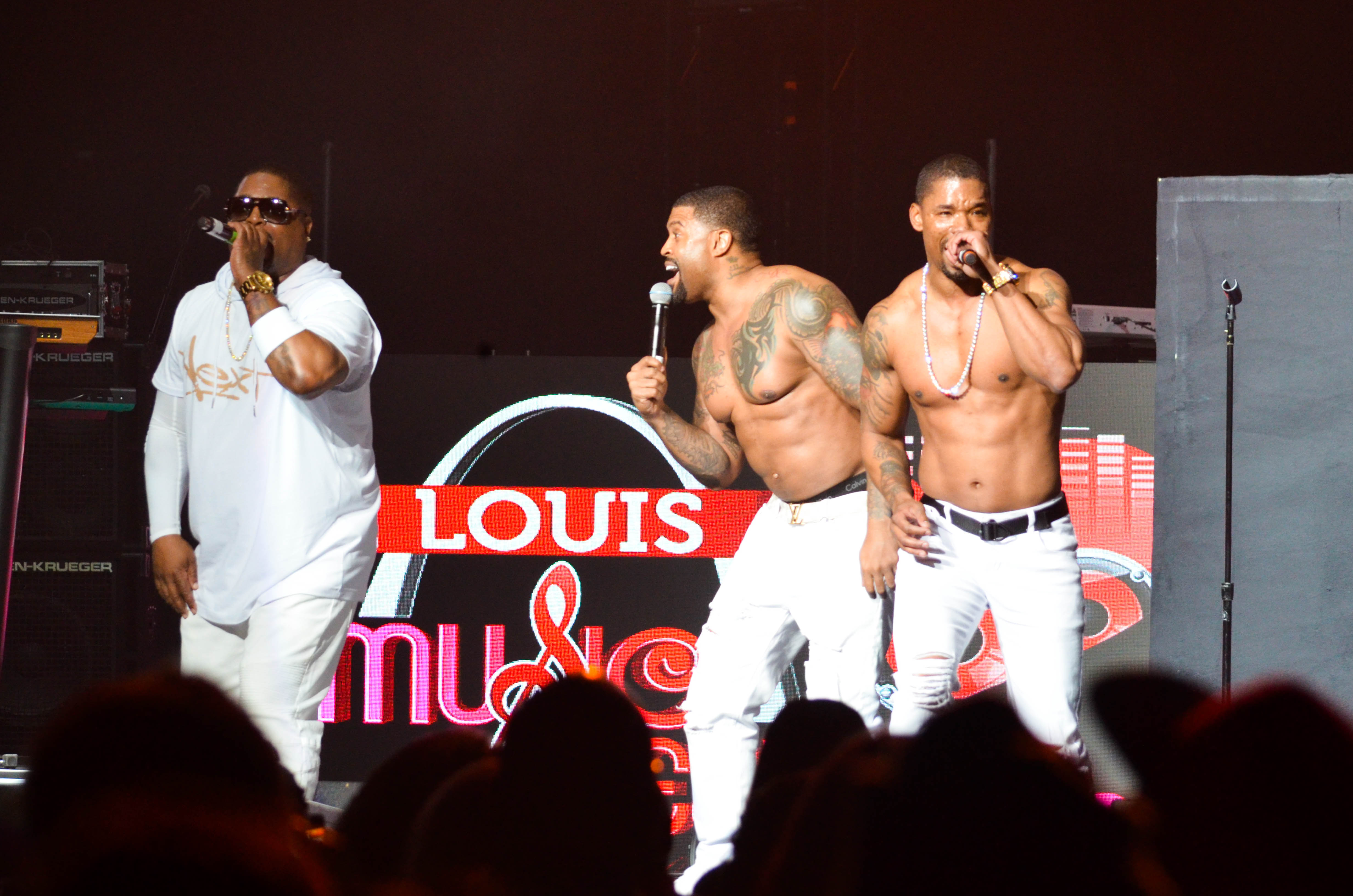 St. Louis Music Festival - Jagged Edge, 112, Ginuwine, Guy, NEXT [RECAP]