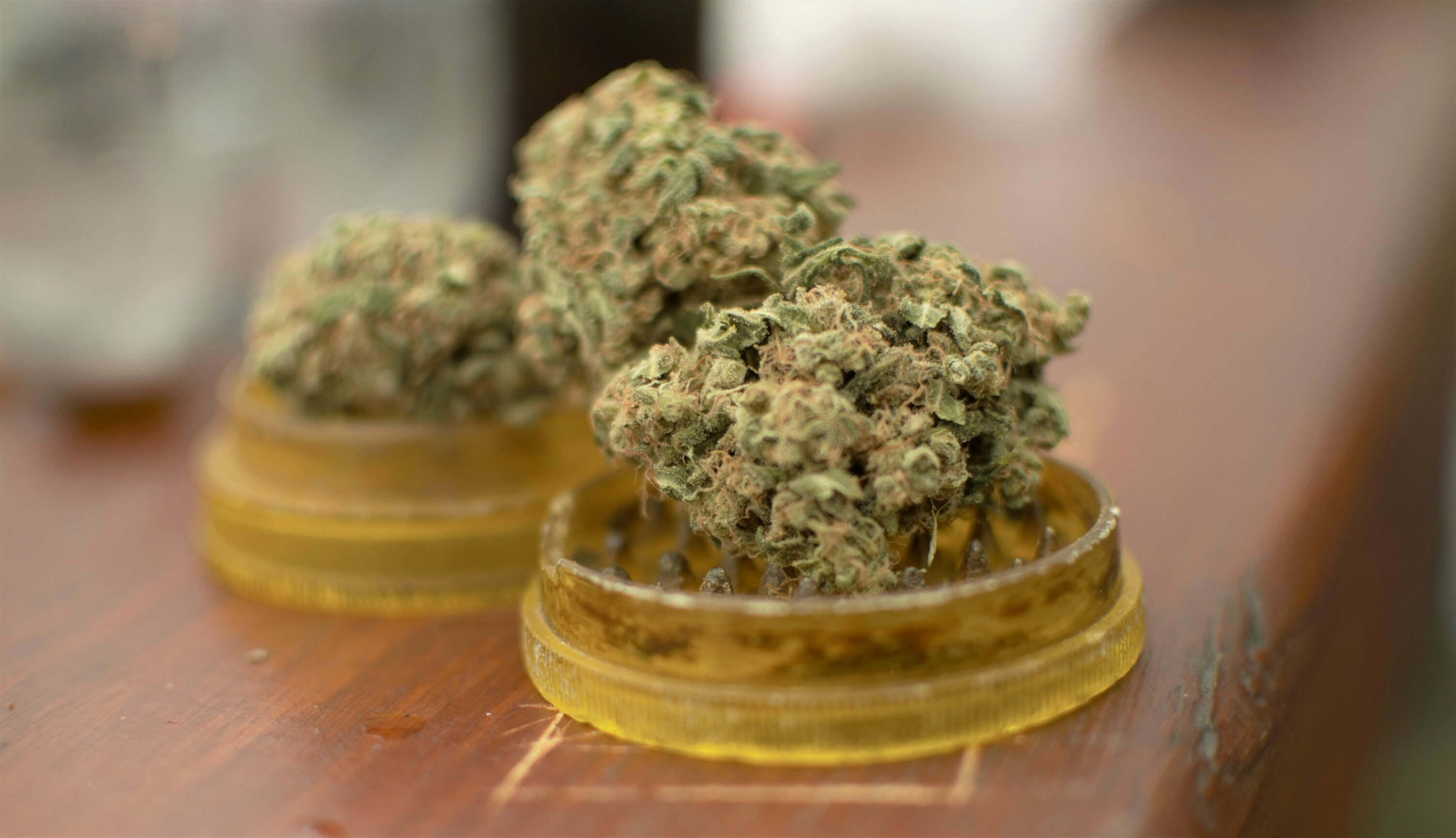 Close-Up Of Cannabis Plant On Table
