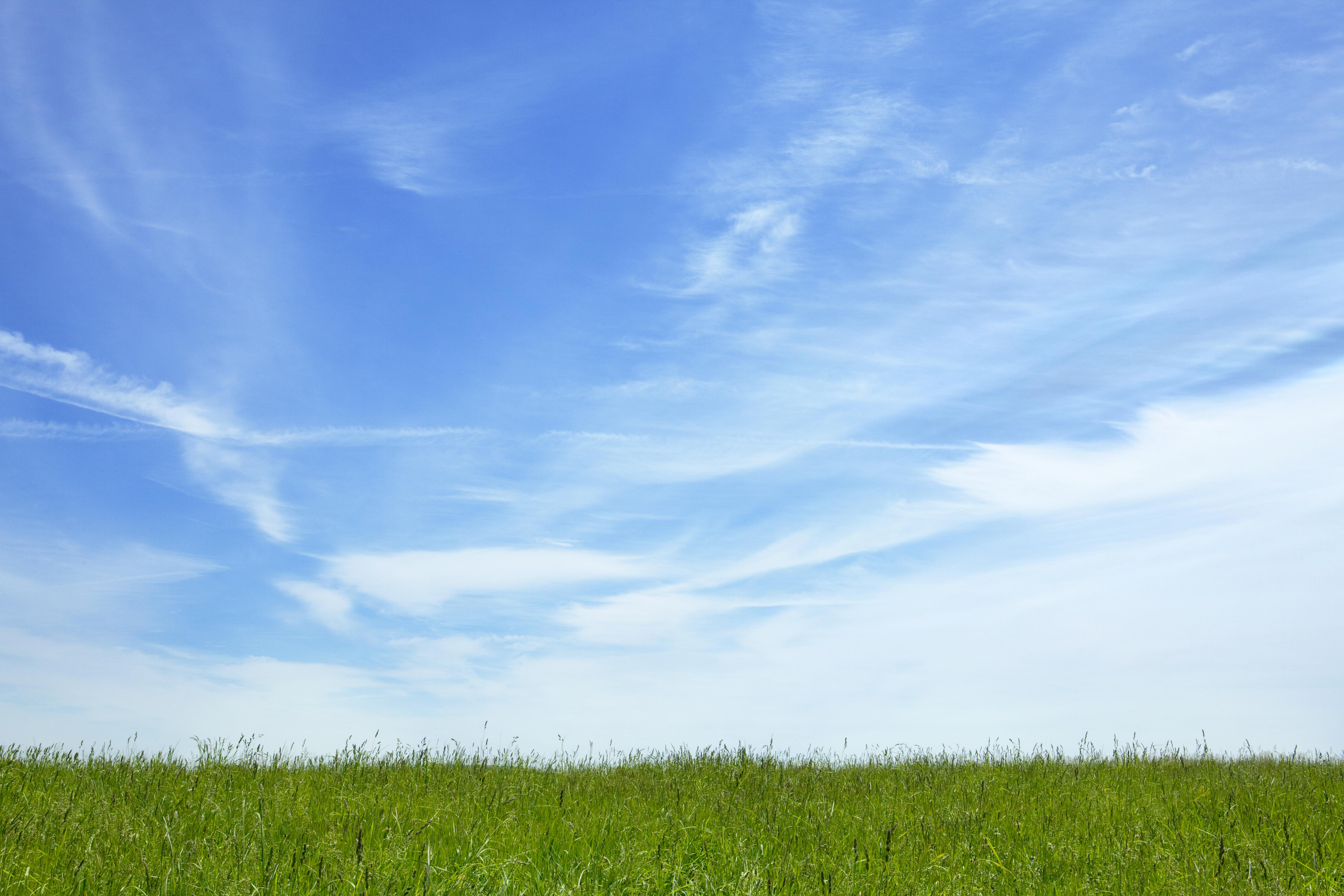 Blue sky over grassy field