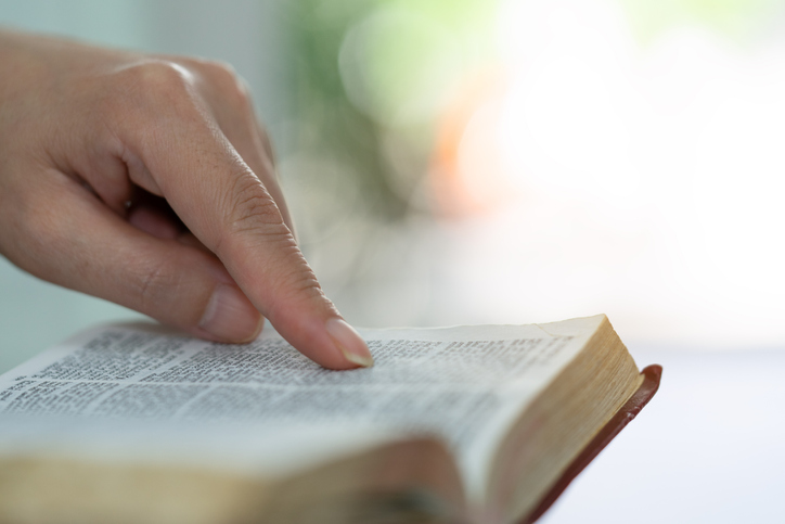 Woman reading the holybible,Woman reading book.